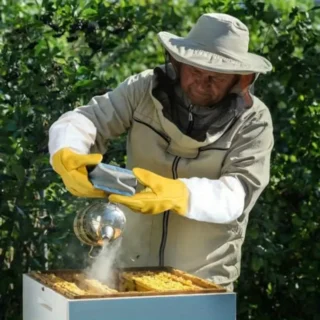 Guantes para apicultor amarillo y blanco
