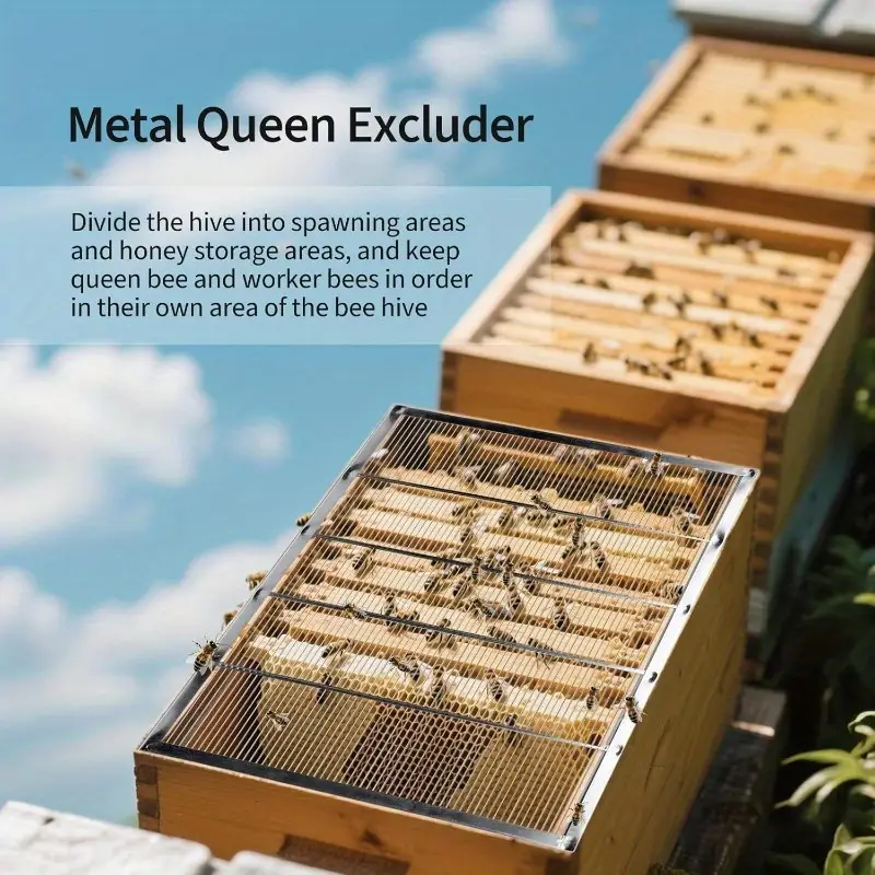 Rejilla excluidora metálica - Image 2